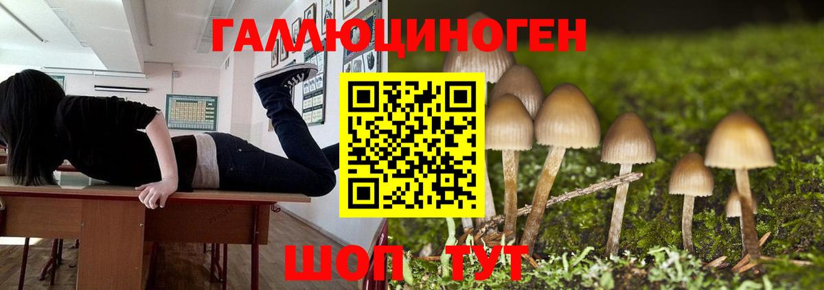 Псилоцибиновые грибы Cubensis  Вход с VPN  Муравленко 