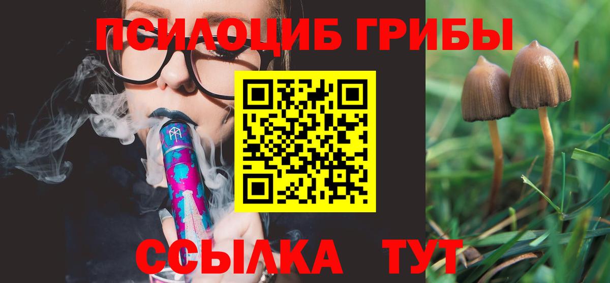 Псилоцибиновые грибы Magic Shrooms Муравленко